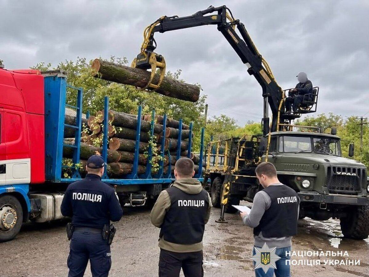 Правоохоронці Вінниччини повідомили про підозру учасникам організованої групи за незаконну порубку лісу