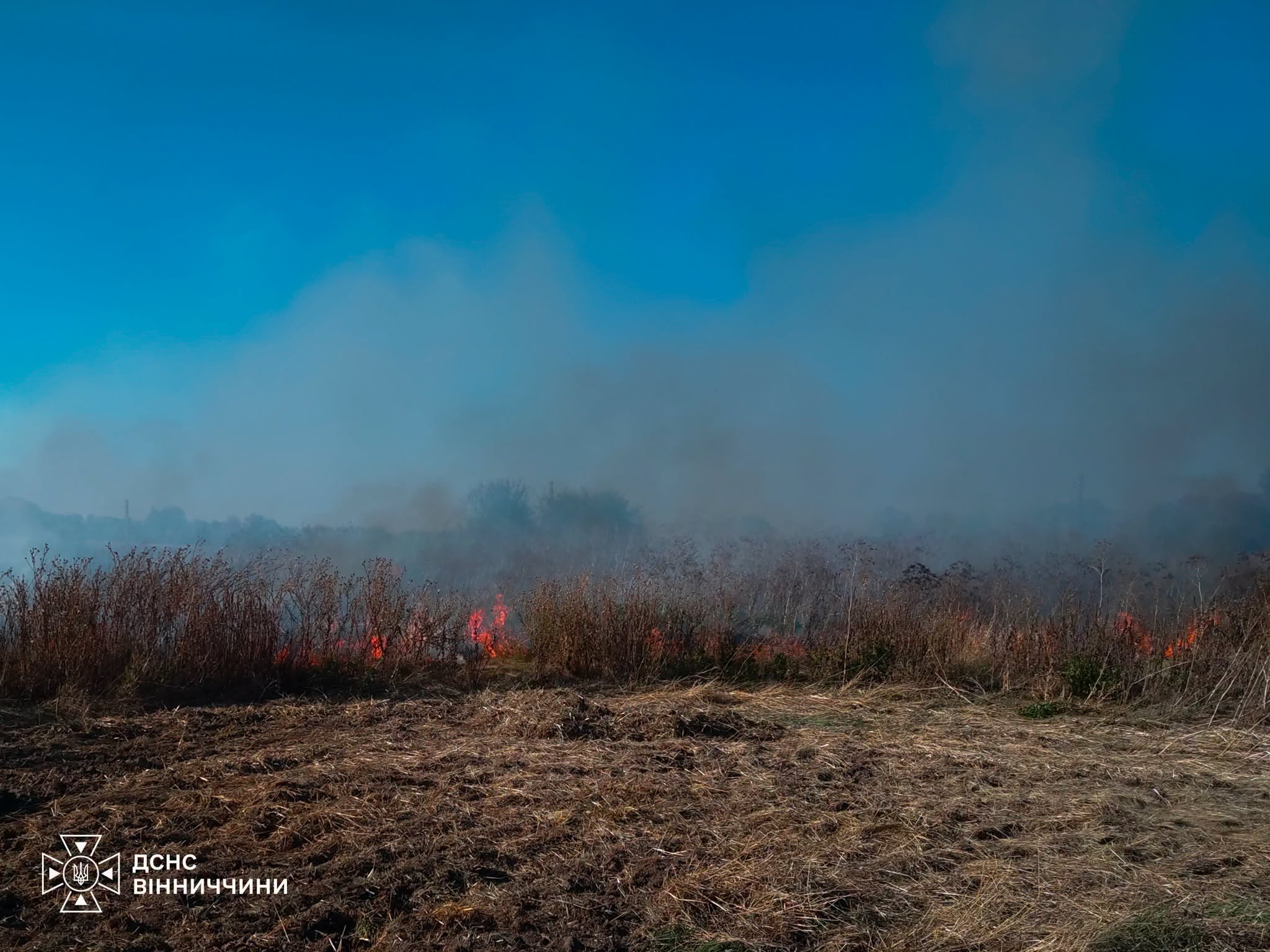 Понад 15 гектарів у вогні: на Вінниччині за добу зафіксовано 16 пожеж в екосистемах