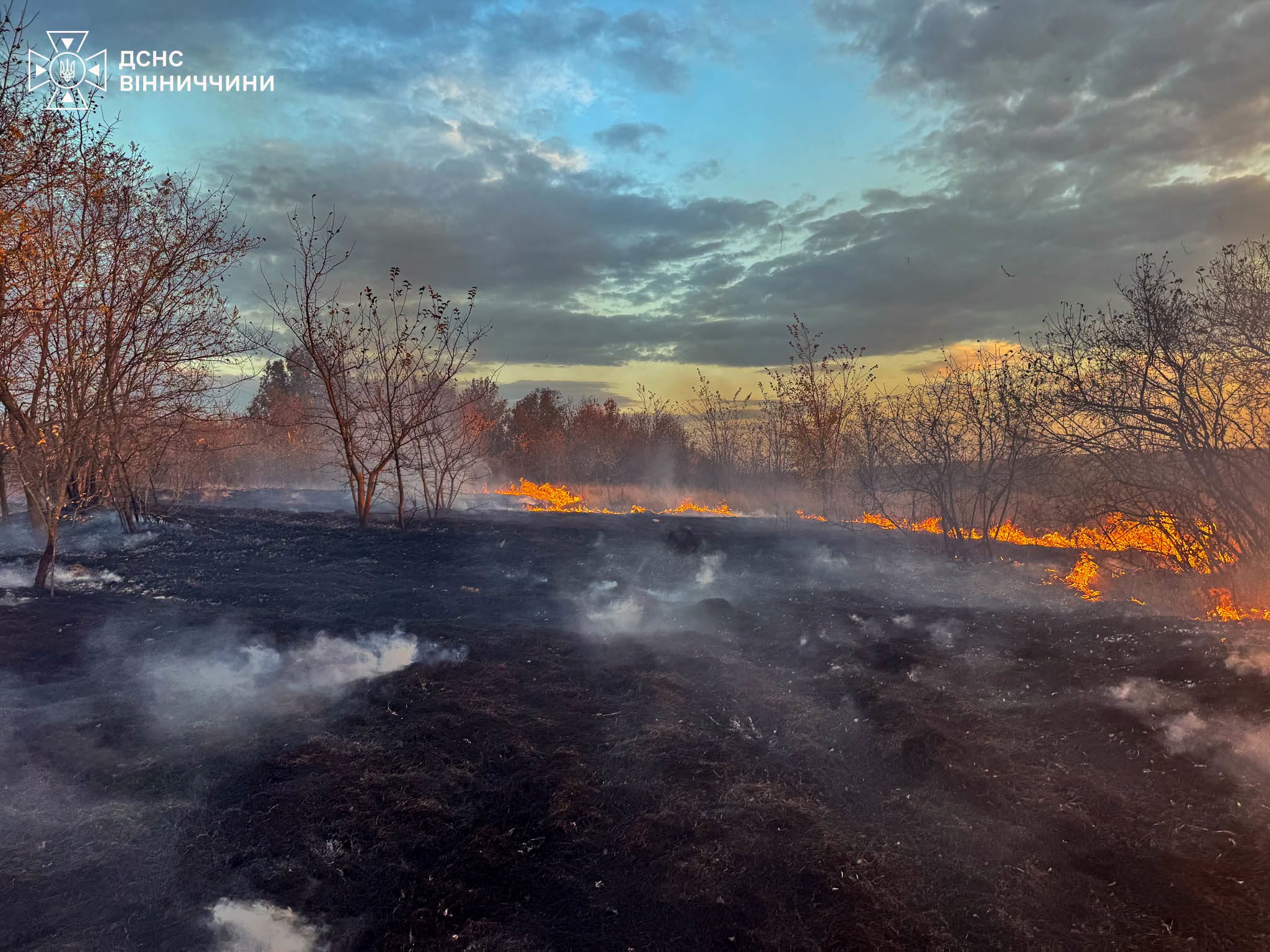 Майже 10 гектарів у вогні за добу: на Вінниччині спалахнули 23 пожежі в екосистемах