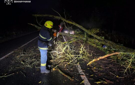 Негода на Вінниччині: рятувальники 5 разів виїжджали для ліквідації наслідків сильного вітру та злив