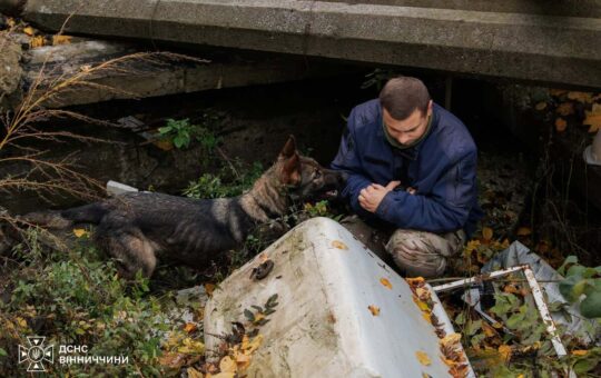 У Вінниці службових собак навчали шукати людей під завалами