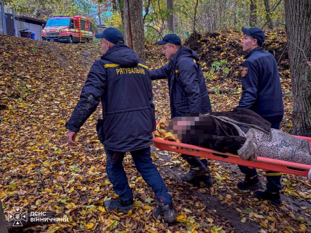 У П’ятничанському лісі розшукали пенсіонерку: рятувальники передали її медикам та нагадують правила безпеки