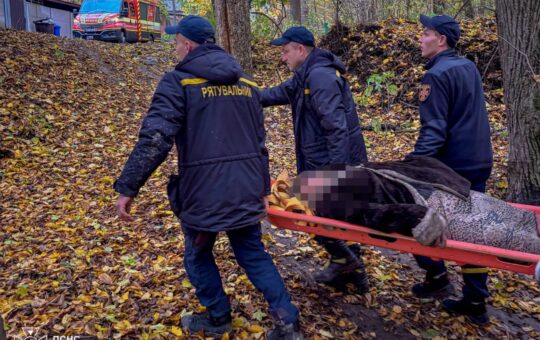 У П’ятничанському лісі розшукали пенсіонерку: рятувальники передали її медикам та нагадують правила безпеки