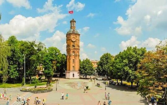 Вінниця вдосконалюватиме озеленення міста за досвідом Австрії